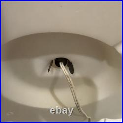 1995 Thanksgiving Turkey Blow Mold Don Featherstone Union Products 19 Tall