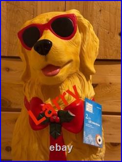 2025 Golden Retriever With Beach Ball Blow Mold 2.5' Home Depot Home Accents New