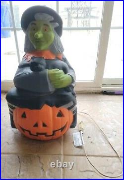 24 VTG TPI 1993 Canada Blow Mold Halloween Green Witch Black Cat Pumpkin Light