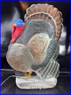 25 Union Don Featherstone Turkey Thanksgiving Blow Mold