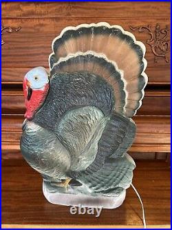 25 Union Don Featherstone Turkey Thanksgiving Blow Mold