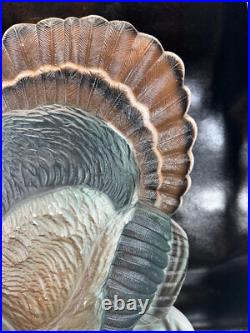 25 Union Don Featherstone Turkey Thanksgiving Blow Mold