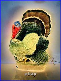 25 Union Don Featherstone Turkey Thanksgiving Blow Mold