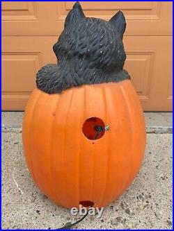 28 Lighted Halloween Blow Mold Jack-O-Lantern Pumpkin Black Cat TPI Canada'94