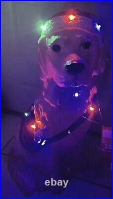 2.5 ft LED Lit Christmas Golden Retriever blow mold Christmas 2022 HomeDepot New
