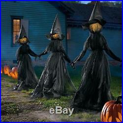3pc Outdoor Halloween Lighted Witch Coven Haunted Graveyard Yard Decor Prop
