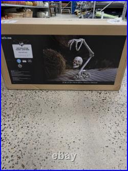 At Home 3.5ft Skeleton Hand Holding Lantern