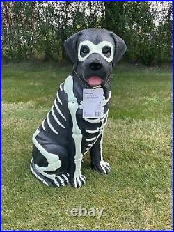 Black Lab Halloween Dog Blow Mold 2024 Home Depot Labrador 2.5 Ft Glow in Dark