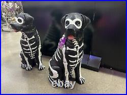 Black Lab Halloween Dog Blow Mold 2024 Home Depot Labrador 2.5 Ft Glow in Dark