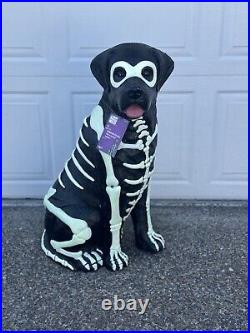 Black Lab Halloween Dog Blow Mold 2024 Home Depot Labrador 2.5 Ft Glow in Dark