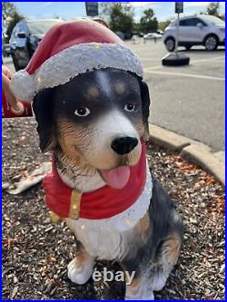 Blow Mold LED 2.5 FT Christmas St Bernard Dog Bernese Mountain Golden Doddle