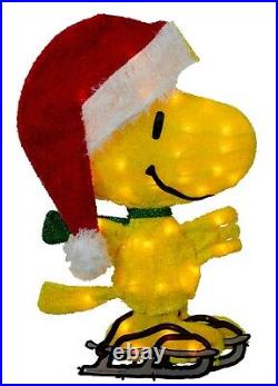 Christmas Peanuts Snoopy & Woodstock Ice Skating Lighted Yard Decor 2-D 2 Piece