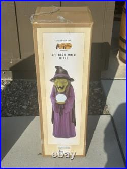 Cracker Barrel Witch Lighted Blow Mold 3FT Vintage Halloween 2024 SOLD-OUT