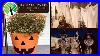 Dollar Tree Diy Halloween Outdoor Decorating Ideas And Hacks