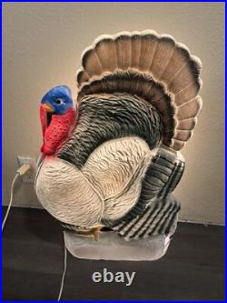 Don Featherstone Turkey Thanksgiving Blow Mold 25 Union VINTAGE Working