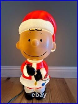 Exclusive CHARLIE BROWN Peanuts Snoopy New Blow Mold 22 Inch Blowmold Gemmy