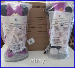 Gemmy Disney Mickey Mouse and Minnie Mouse Halloween Blow Mold Some Damage? A