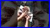 Genius Dollar Tree Mop Hack Moving Witch Broom Halloween Diy 2023