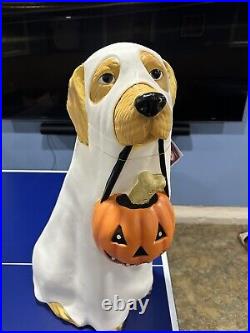 Golden Retriever Halloween Dog Blow Mold Ghost LED Lit 2024 Home Depot 2.5 Ft