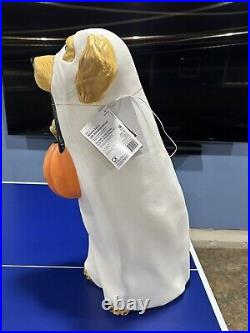 Golden Retriever Halloween Dog Blow Mold Ghost LED Lit 2024 Home Depot 2.5 Ft