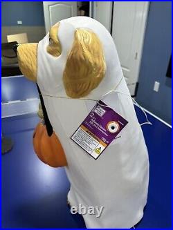 Golden Retriever Halloween Dog Blow Mold Ghost LED Lit 2024 Home Depot 2.5 Ft