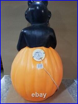 HALLOWEEN Blow Mold Black Cat & Pumpkin Jack-o-lantern 34 Carolina Enterprises
