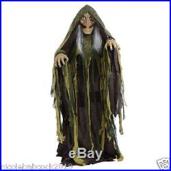 Halloween Animated Old Wise Warning Witch Lighted Eyes Moves Up & Down, Talks
