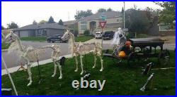 Halloween Custom Low Rider Horse Drawn Horse with Skeleton Driver