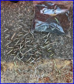 Halloween Gemmy Airblown Inflatable Pumpkin Patch OVER 12' LONG