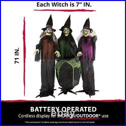 Haunted Hill Farm Life-Size Scary Talking 3 Witches with Cauldron Halloween