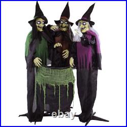 Haunted Hill Farm Life-Size Scary Talking 3 Witches with Cauldron Halloween