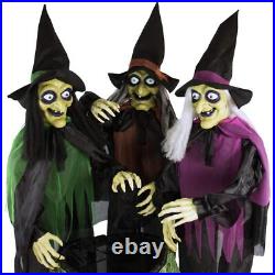 Haunted Hill Farm Life-Size Scary Talking 3 Witches with Cauldron Halloween