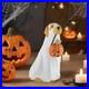 Home Accents 2.5 ft Ghost Golden Retriever LED