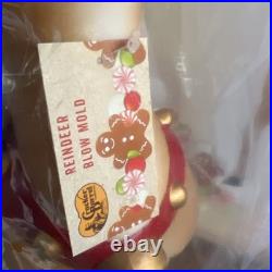 NEW Cracker Barrel Blow Mold Christmas Reindeer Girl & Boy Set of 2 NIOB Battery