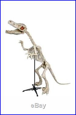 NEW Dinosaur Standing Skeleton 6ft Lights Up Roaring Raptor Sounds LED Animated