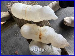 Nativity Set Blow Mold 11 Pcs Empire 3 Sheep 3 Kings Cow Shepard No Lights/cord