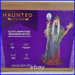 New In Box Haunted Living 5.5ft Animated Seaweed Witch