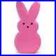 New Pink Blow Mold Bunny Peep GFP General Foam Plastics HTF Rare Easter Light