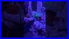 Outdoor Halloween Decorating Ideas Halloweendecor Halloween Decorating