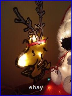 Peanuts Snoopy On House with Woodstock 3ft Pre Lit Light Yard Up Decoration Tinsel
