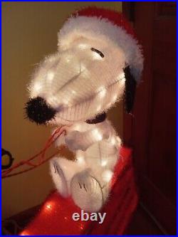 Peanuts Snoopy On House with Woodstock 3ft Pre Lit Light Yard Up Decoration Tinsel