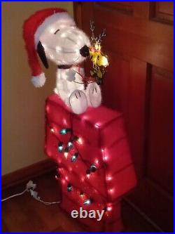 Peanuts Snoopy On House with Woodstock 3ft Pre Lit Light Yard Up Decoration Tinsel