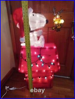 Peanuts Snoopy On House with Woodstock 3ft Pre Lit Light Yard Up Decoration Tinsel