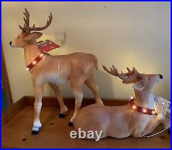 Pr Blow Mold ReinDeer Deer Light Up Buck Male Female Mint 26 15 New Old Stock