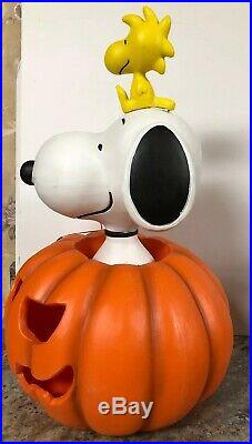 Rare 20 Snoopy Woodstock Pumpkin Lighted Halloween Blow Mold Greeter Peanuts