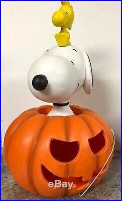 Rare 20 Snoopy Woodstock Pumpkin Lighted Halloween Blow Mold Greeter Peanuts