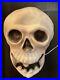 Rare Drainage Halloween Blow Mold Skeleton Skull