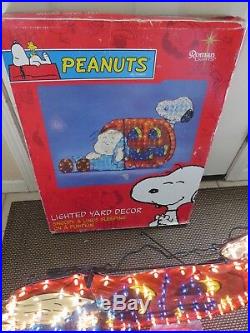 Roman Lights Halloween Lighted Yard Outdoor Prop Peanuts Snoopy Charlie Brown