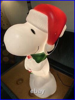 Snoopy The Peanuts Charlie White Christmas New Blow Mold 24 Inch BlowMold