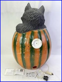 VTG TPI Halloween Blow Mold 28 Jack-O'-Lantern with Black Cat in Pumpkin